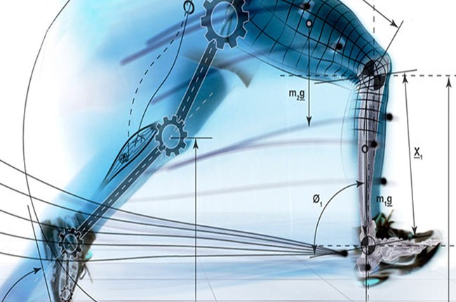 feature biomechanics assessment 650x450.jpg